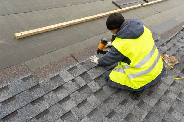 Best Roof Gutter Cleaning  in East Liverpool, OH