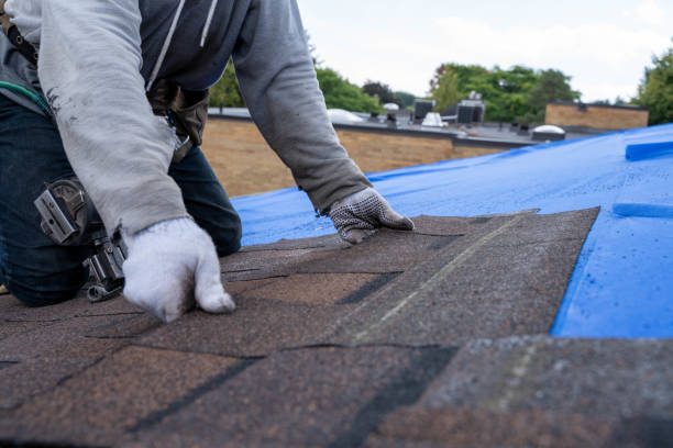 Best Storm Damage Roof Repair  in East Liverpool, OH